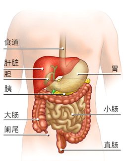 直肠炎